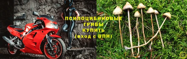 ПСИЛОЦИБИНОВЫЕ ГРИБЫ Абдулино
