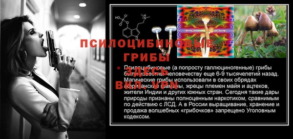 ПСИЛОЦИБИНОВЫЕ ГРИБЫ Абдулино